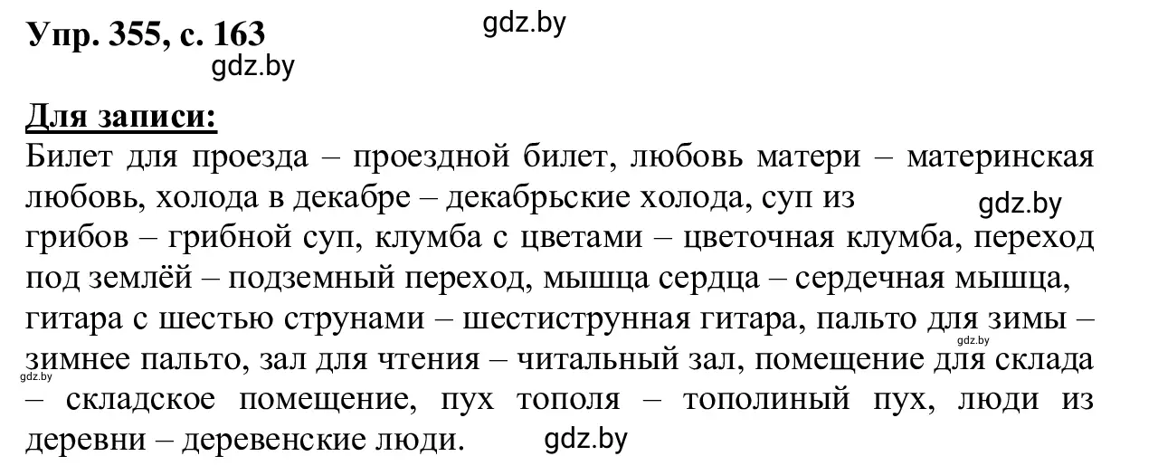 Решение 2. номер 355 (страница 163) гдз по русскому языку 6 класс Мурина, Игнатович, учебник