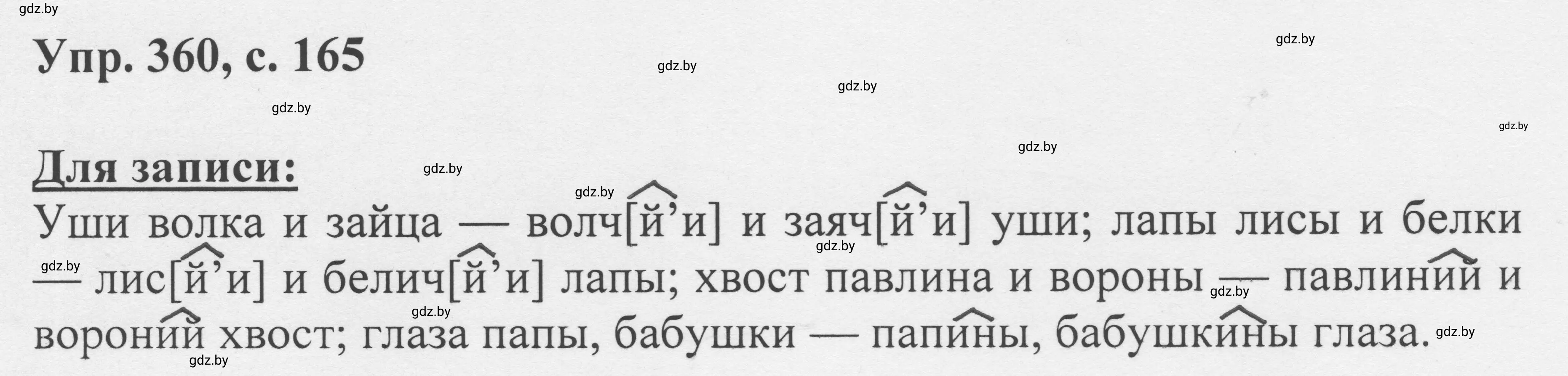 Решение 2. номер 360 (страница 165) гдз по русскому языку 6 класс Мурина, Игнатович, учебник