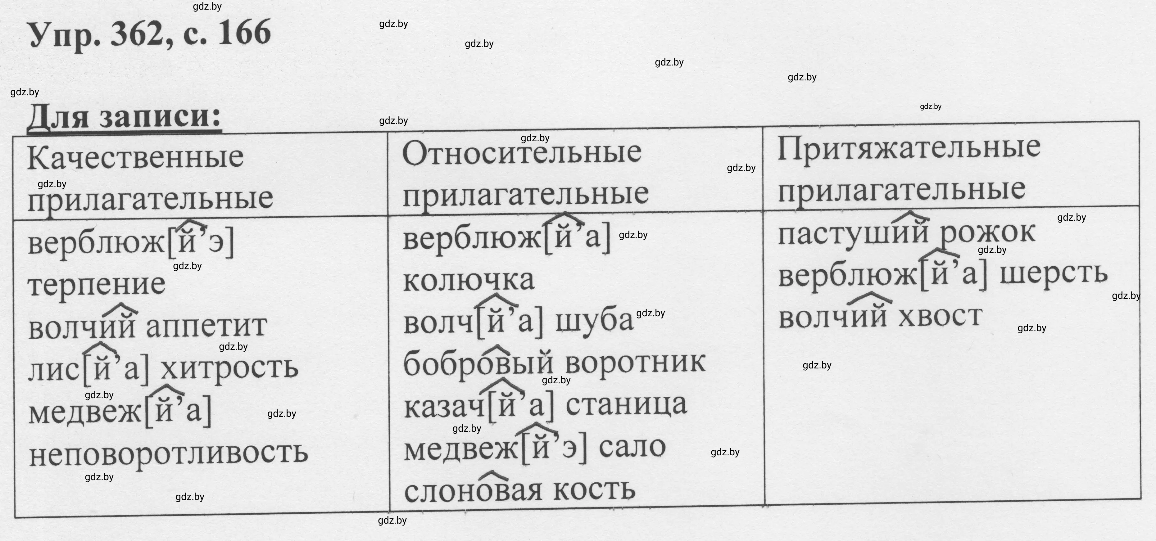 Решение 2. номер 362 (страница 166) гдз по русскому языку 6 класс Мурина, Игнатович, учебник