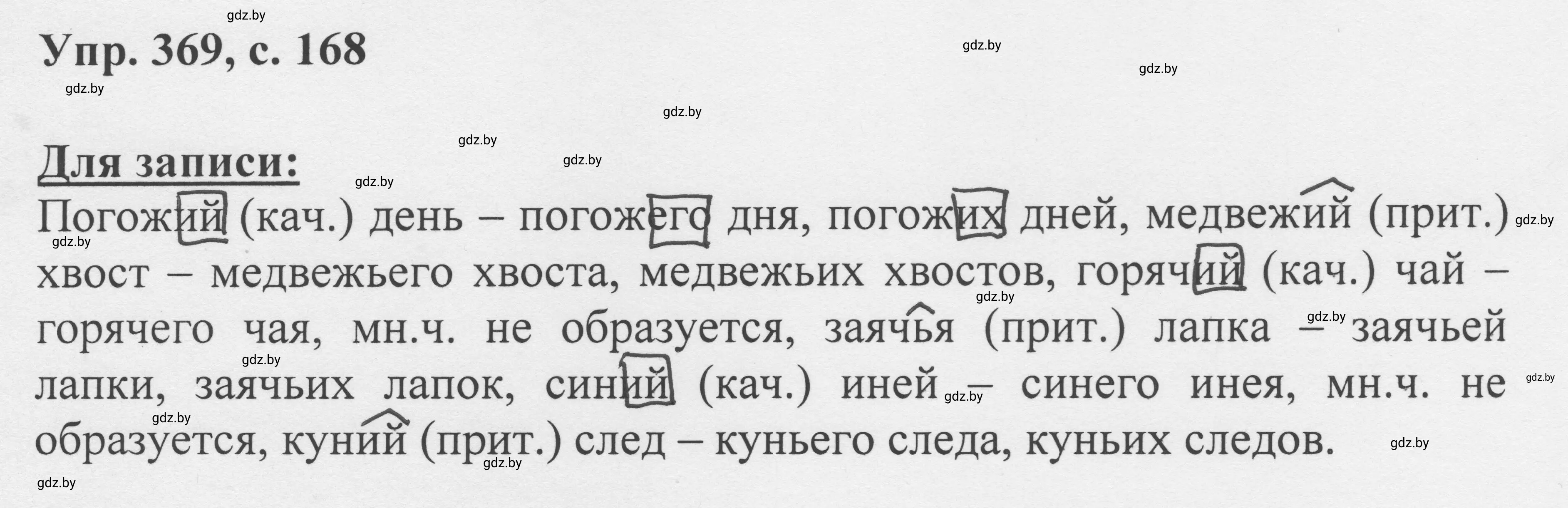 Решение 2. номер 369 (страница 168) гдз по русскому языку 6 класс Мурина, Игнатович, учебник