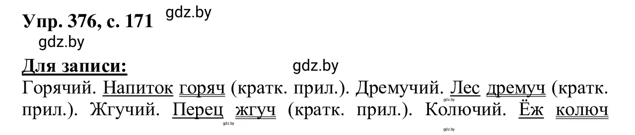 Решение 2. номер 376 (страница 171) гдз по русскому языку 6 класс Мурина, Игнатович, учебник