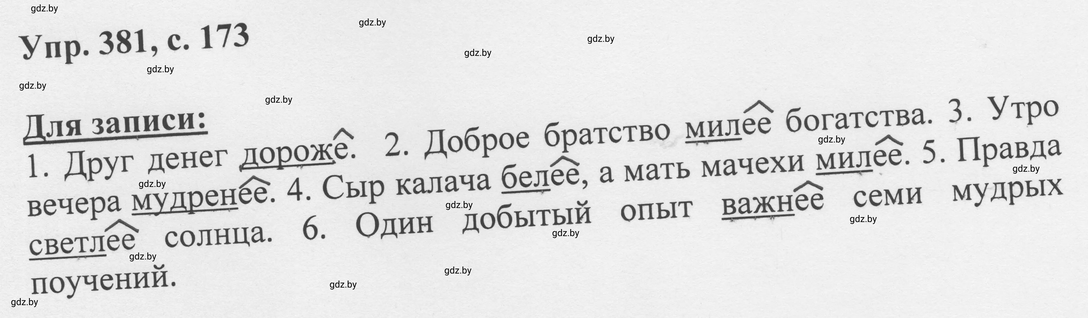 Решение 2. номер 381 (страница 173) гдз по русскому языку 6 класс Мурина, Игнатович, учебник