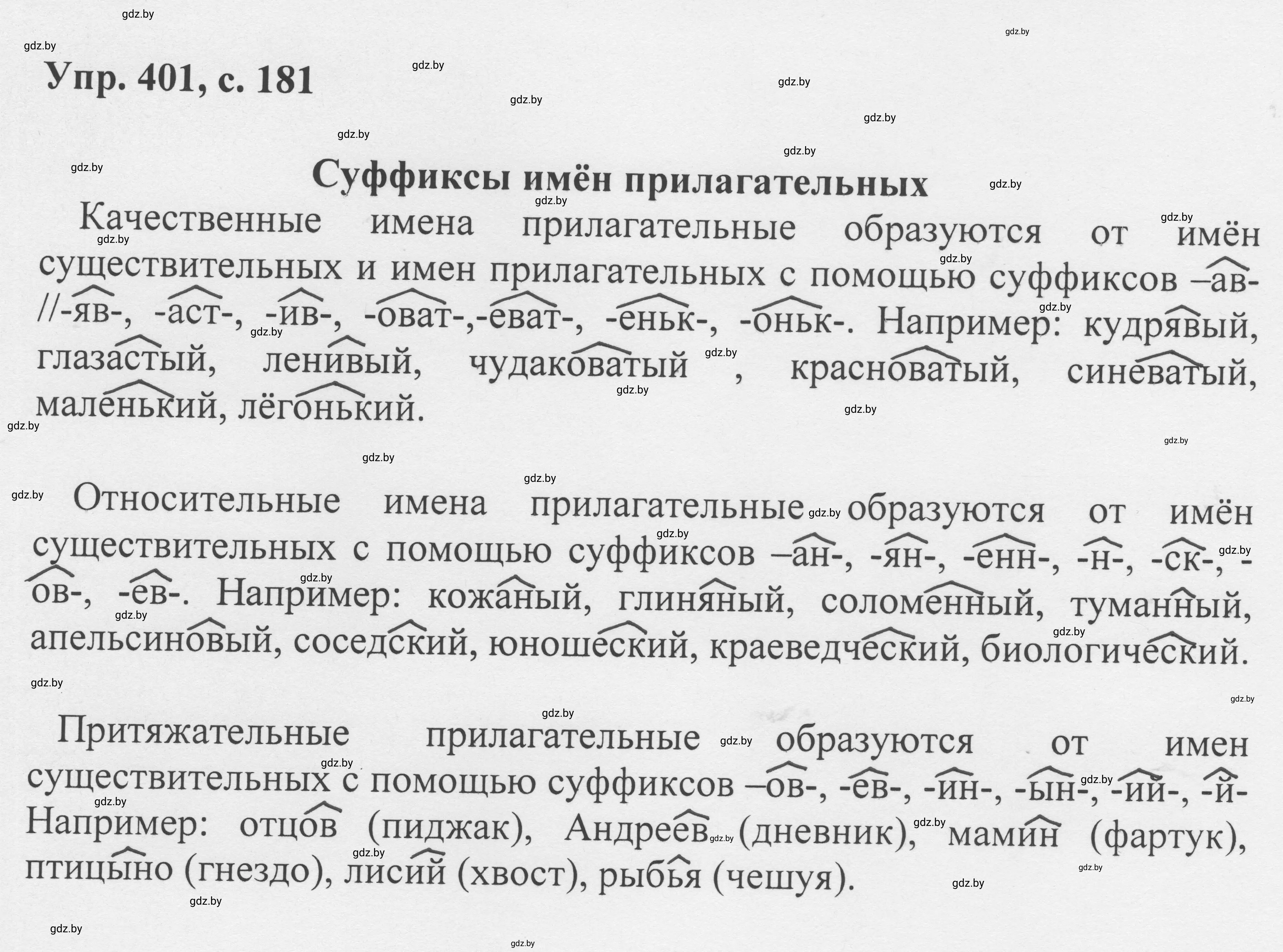 Решение 2. номер 401 (страница 181) гдз по русскому языку 6 класс Мурина, Игнатович, учебник