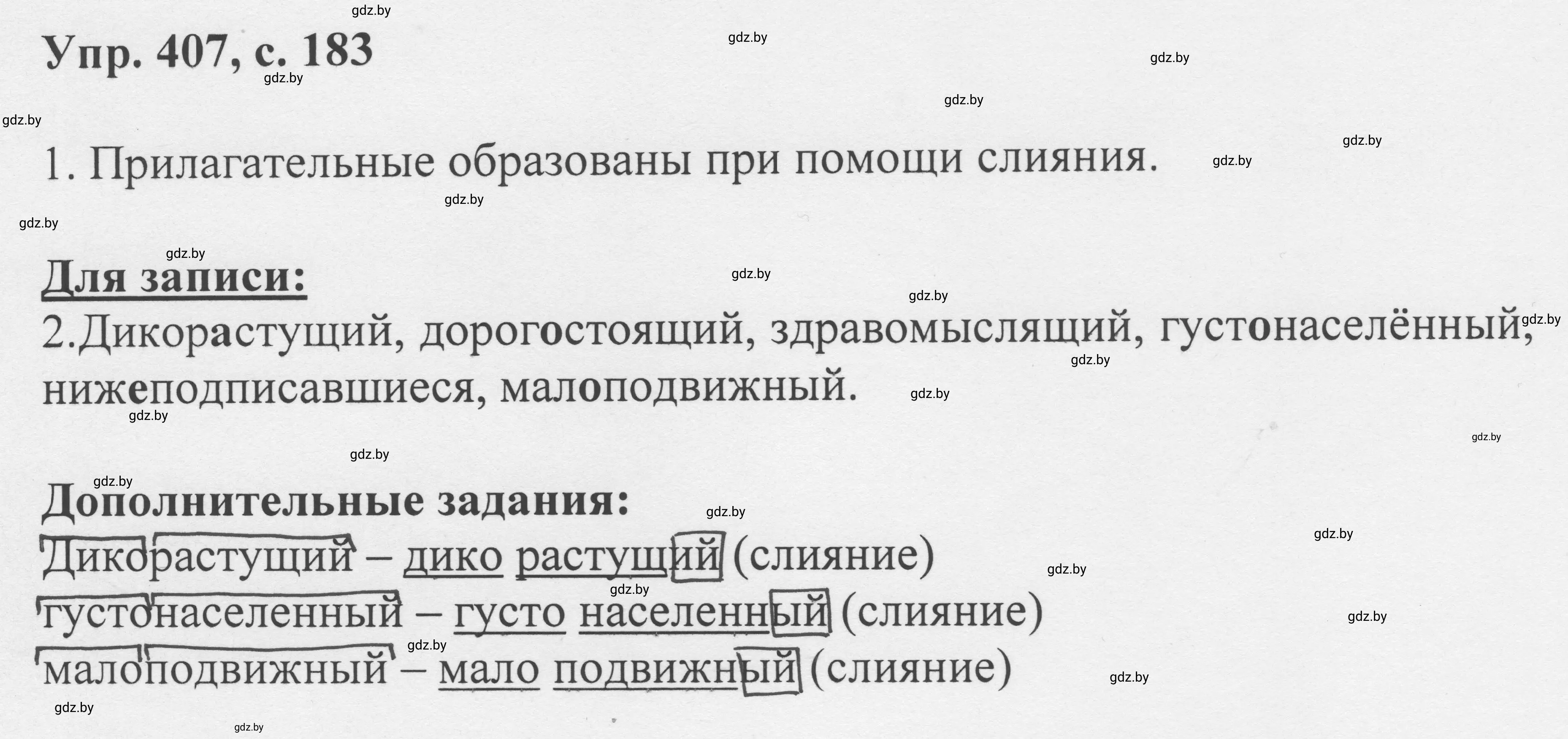 Решение 2. номер 407 (страница 183) гдз по русскому языку 6 класс Мурина, Игнатович, учебник