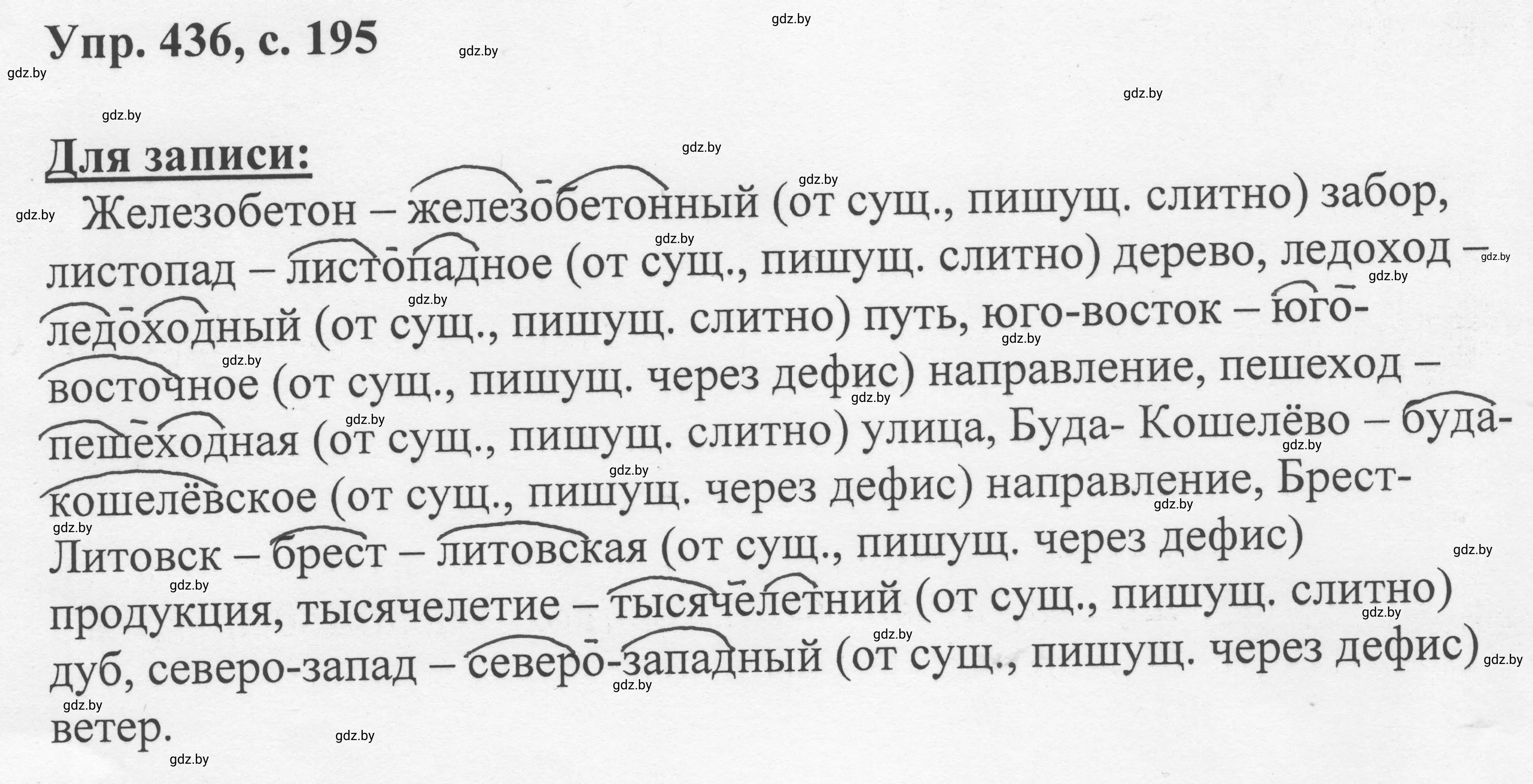 Решение 2. номер 436 (страница 195) гдз по русскому языку 6 класс Мурина, Игнатович, учебник