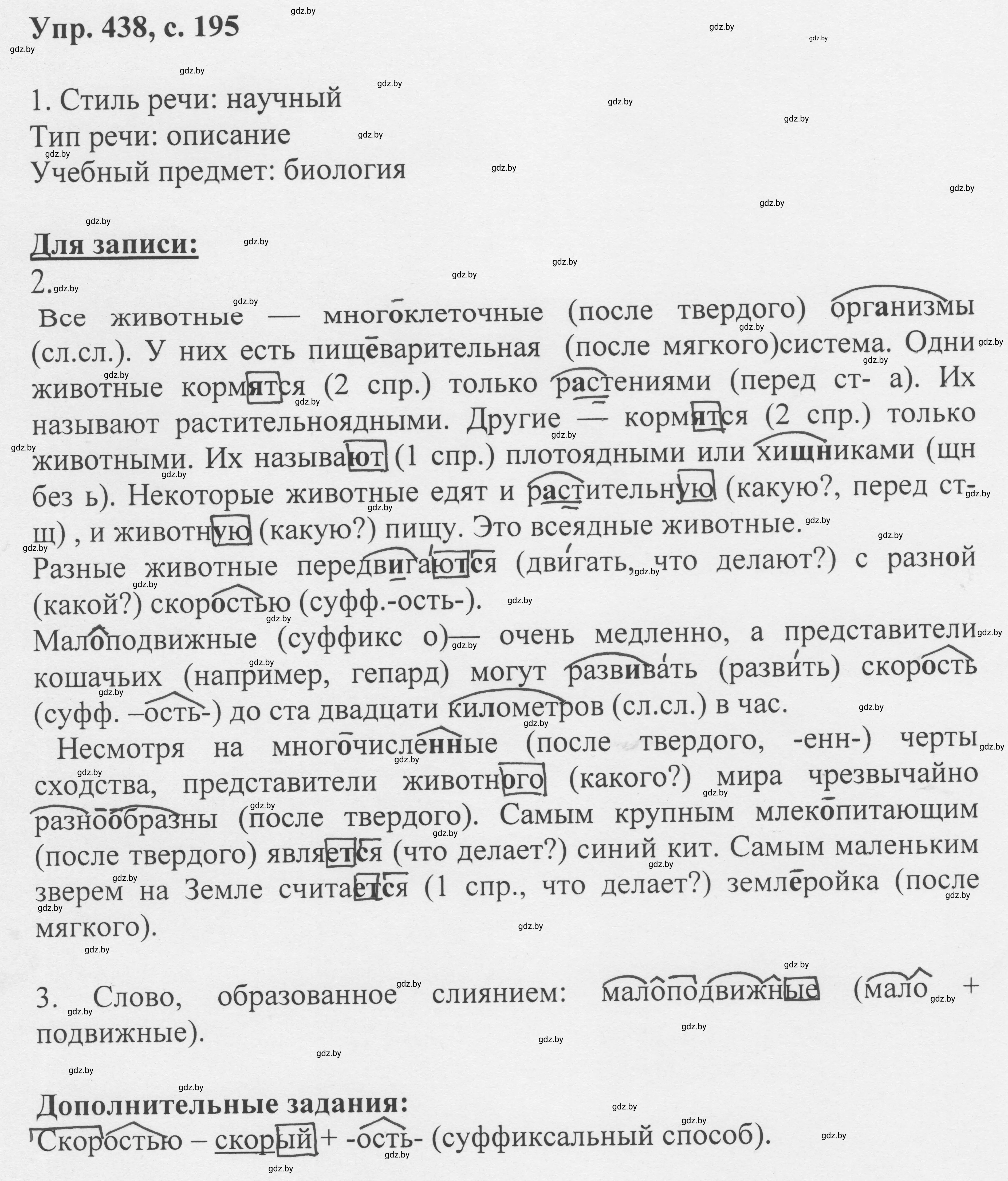 Решение 2. номер 438 (страница 195) гдз по русскому языку 6 класс Мурина, Игнатович, учебник