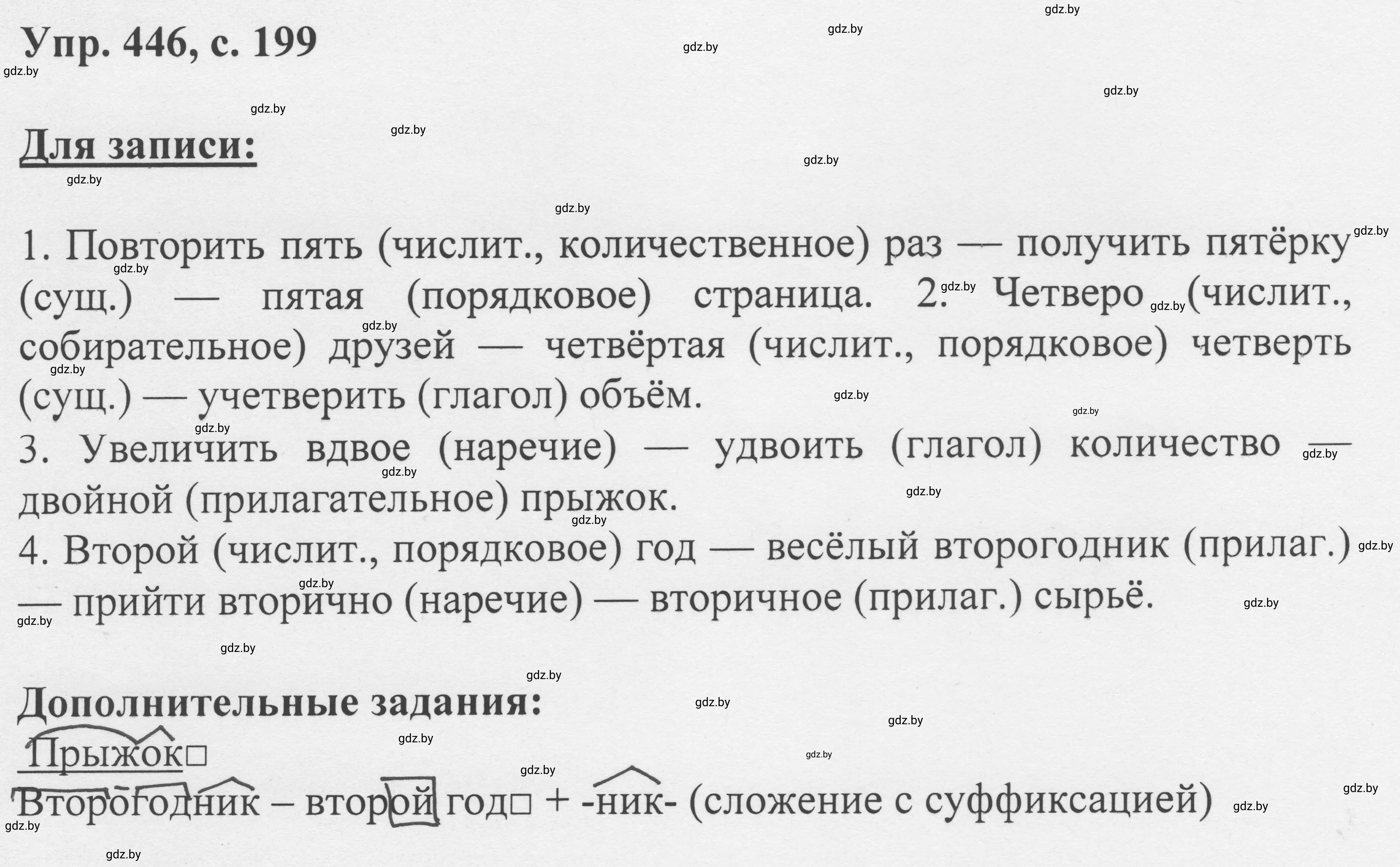 Решение 2. номер 446 (страница 199) гдз по русскому языку 6 класс Мурина, Игнатович, учебник