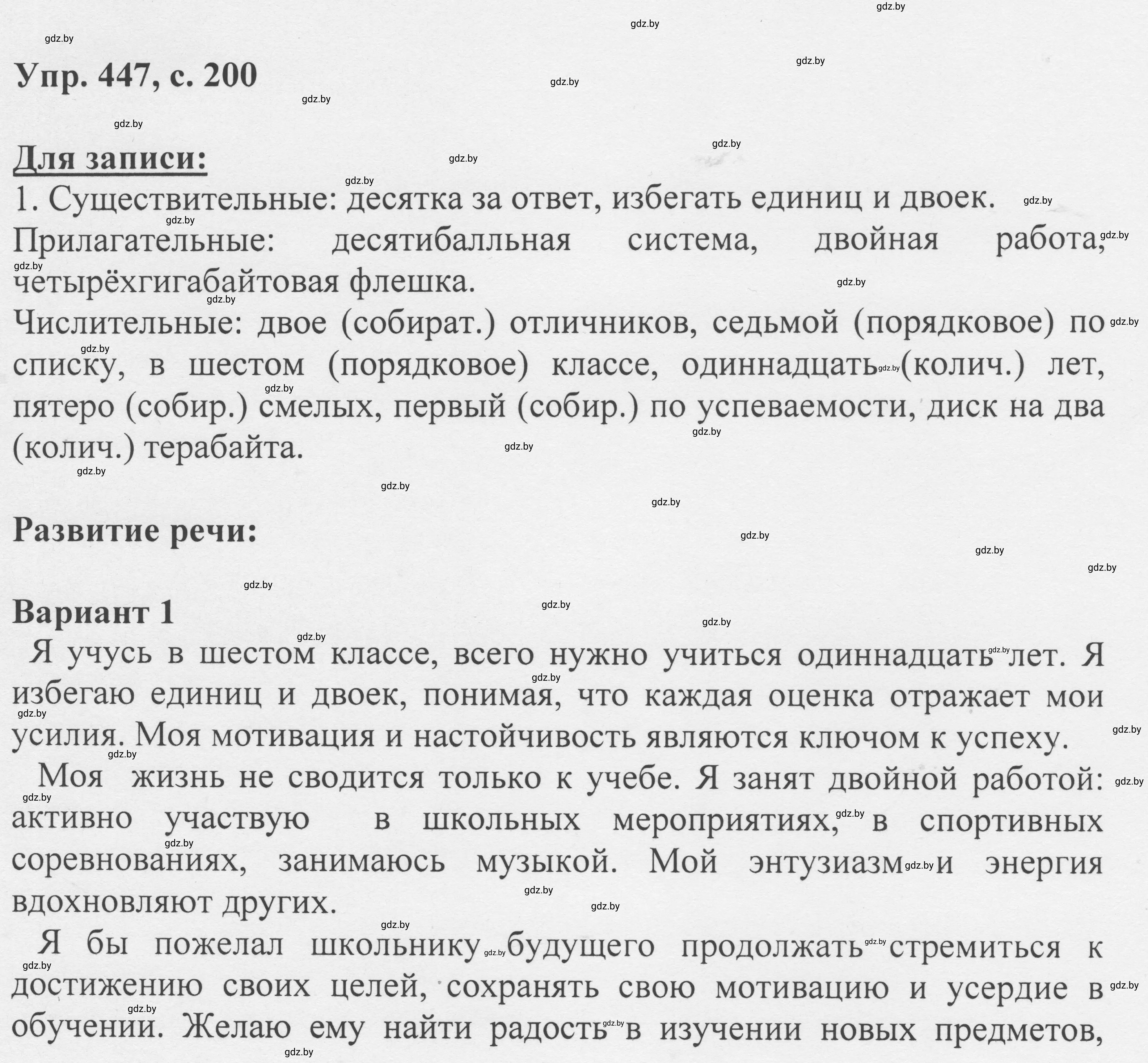 Решение 2. номер 447 (страница 200) гдз по русскому языку 6 класс Мурина, Игнатович, учебник