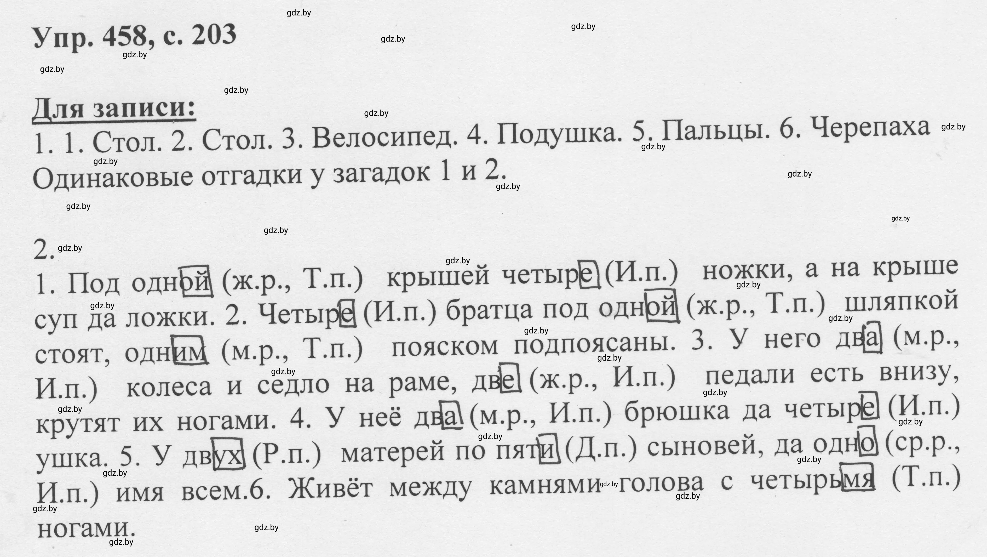 Решение 2. номер 458 (страница 203) гдз по русскому языку 6 класс Мурина, Игнатович, учебник