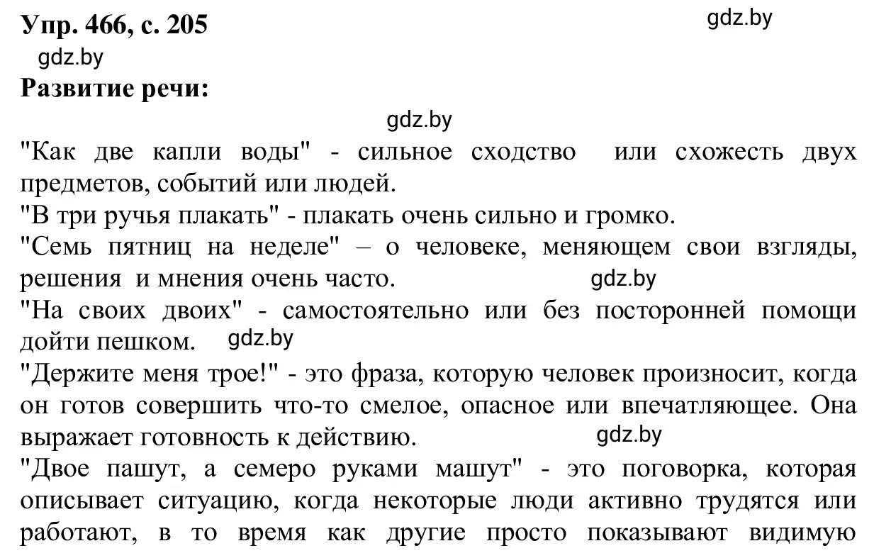 Решение 2. номер 466 (страница 205) гдз по русскому языку 6 класс Мурина, Игнатович, учебник