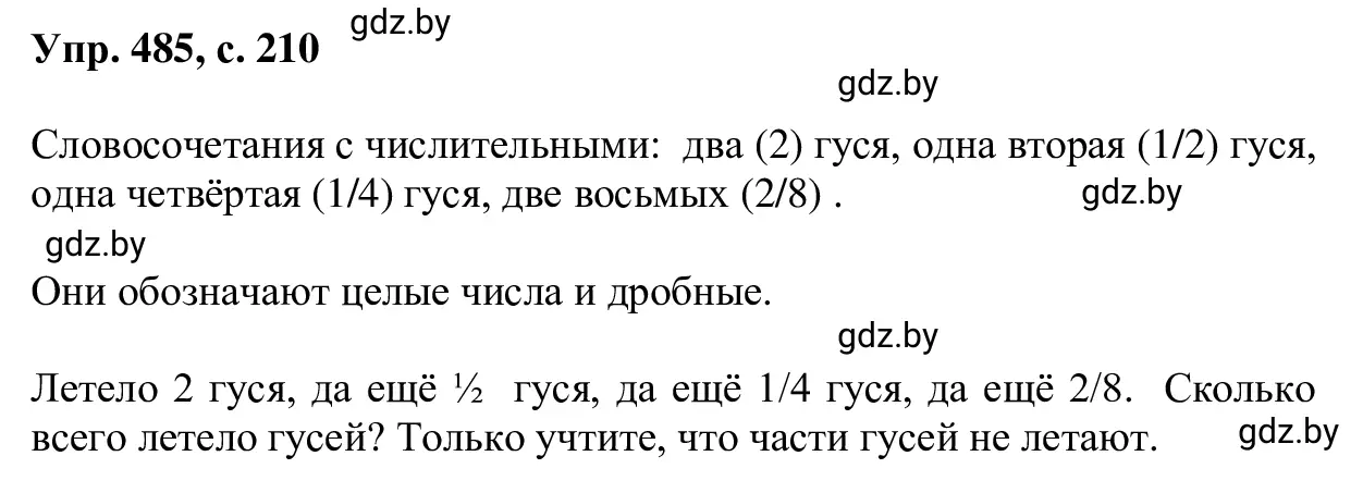 Решение 2. номер 485 (страница 210) гдз по русскому языку 6 класс Мурина, Игнатович, учебник