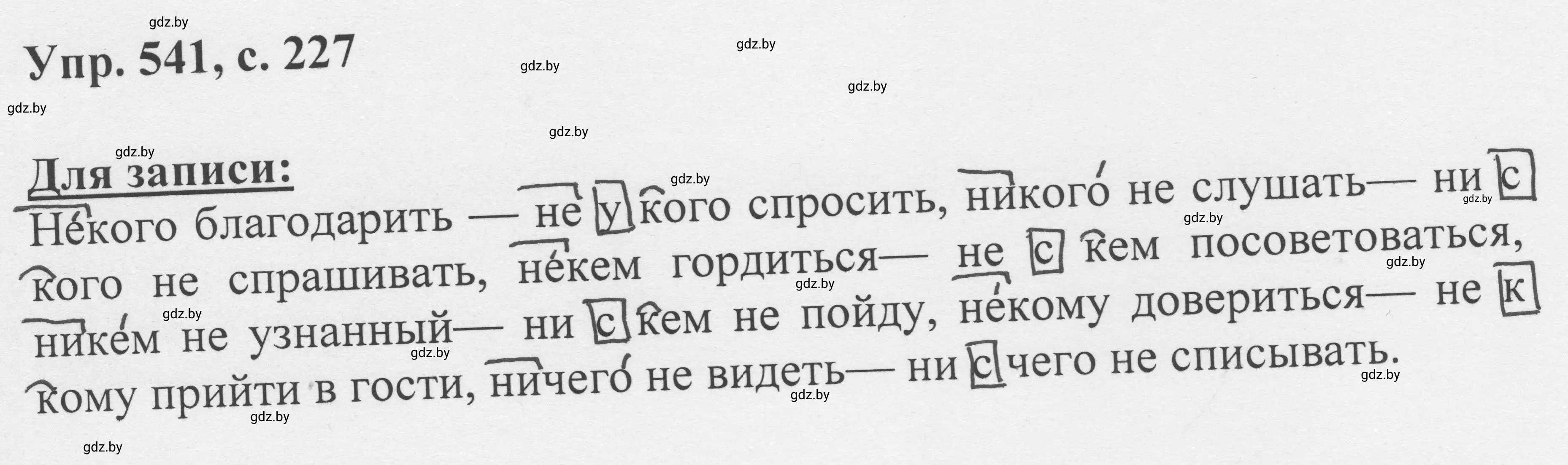 Решение 2. номер 541 (страница 227) гдз по русскому языку 6 класс Мурина, Игнатович, учебник