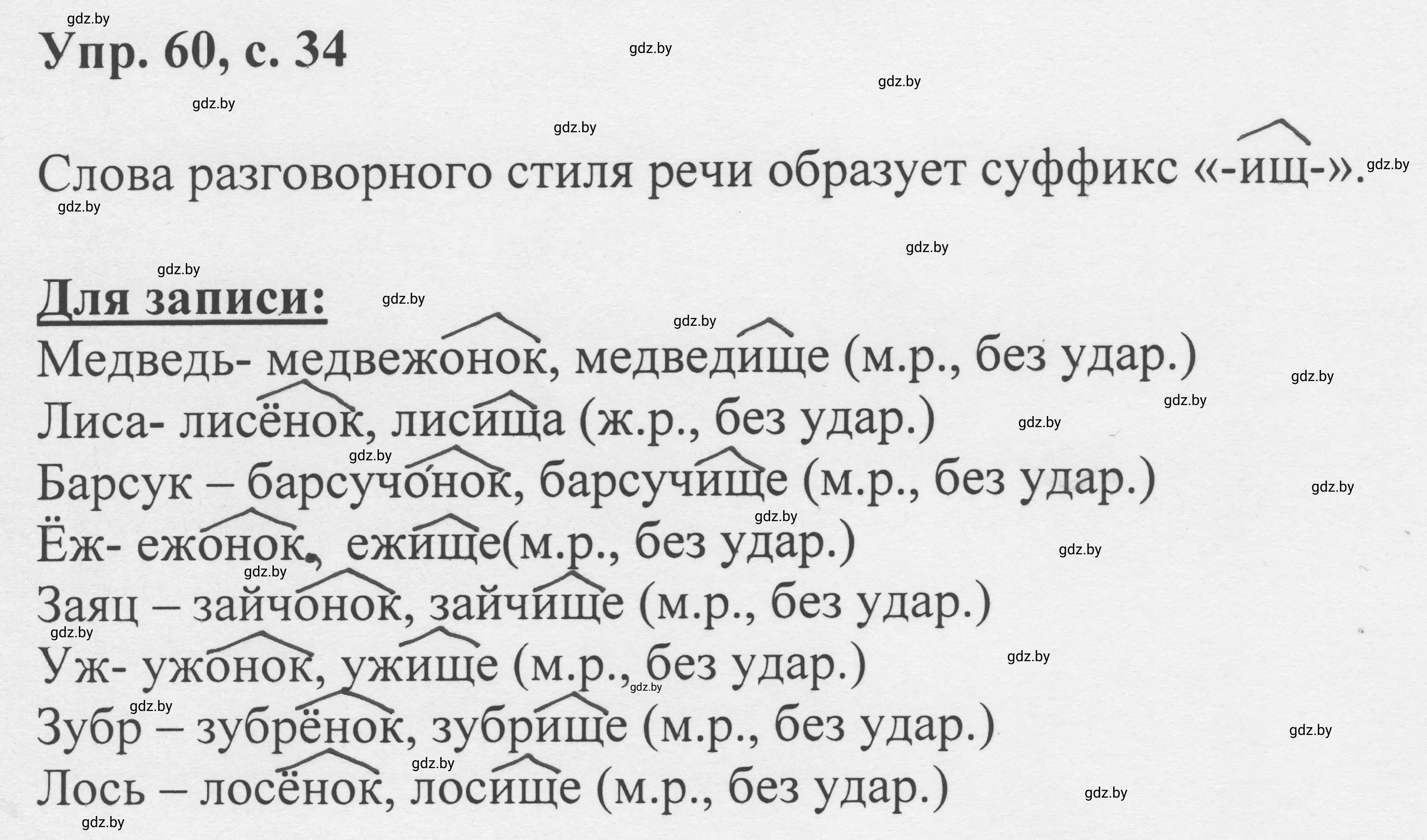 Решение 2. номер 60 (страница 34) гдз по русскому языку 6 класс Мурина, Игнатович, учебник