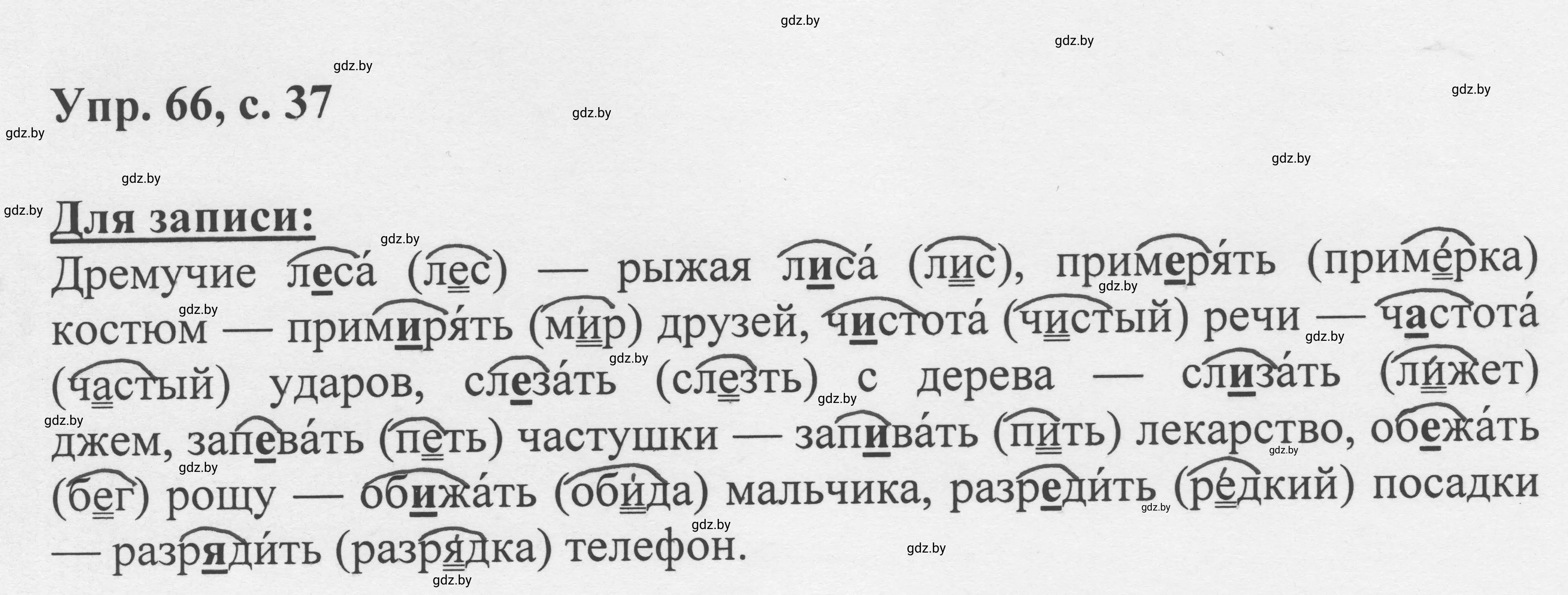 Решение 2. номер 66 (страница 37) гдз по русскому языку 6 класс Мурина, Игнатович, учебник