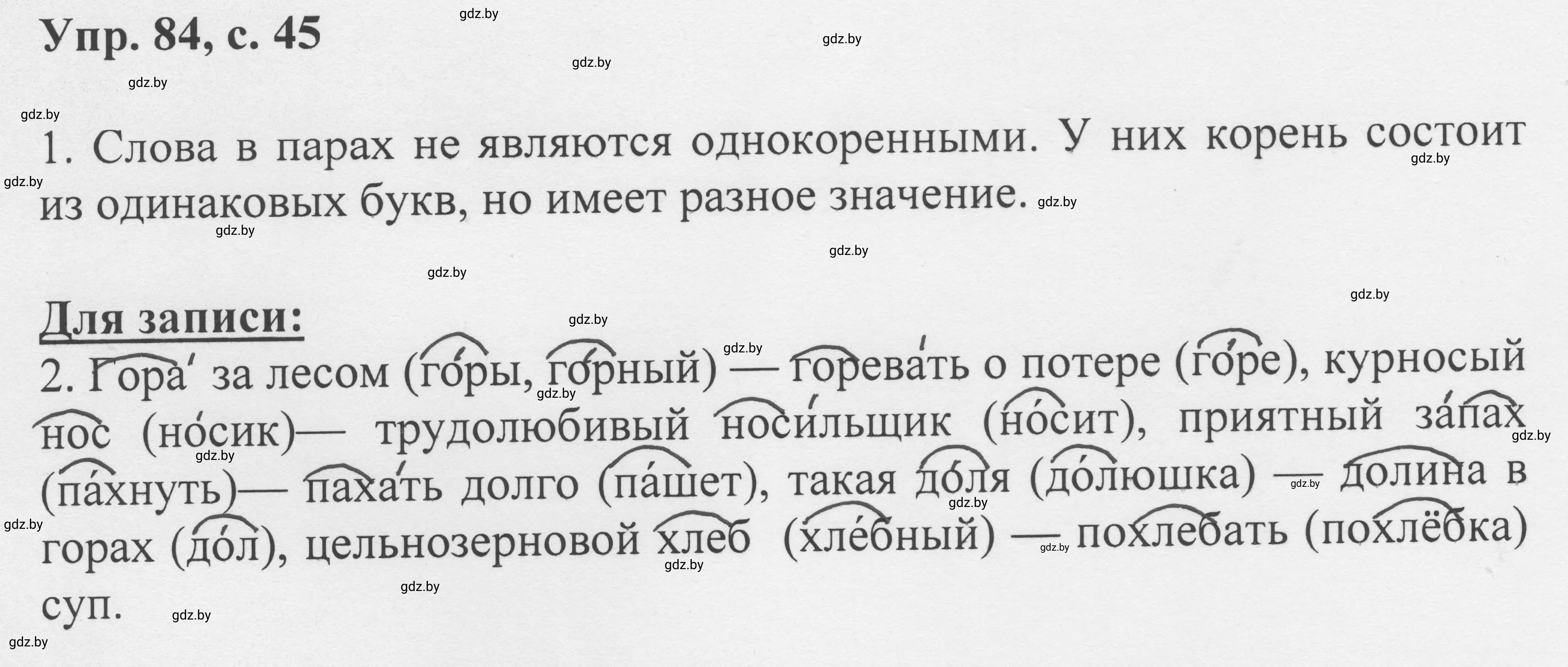 Решение 2. номер 84 (страница 45) гдз по русскому языку 6 класс Мурина, Игнатович, учебник