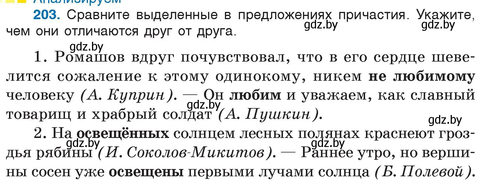 Условие номер 203 (страница 100) гдз по русскому языку 7 класс Волынец, Литвинко, учебник