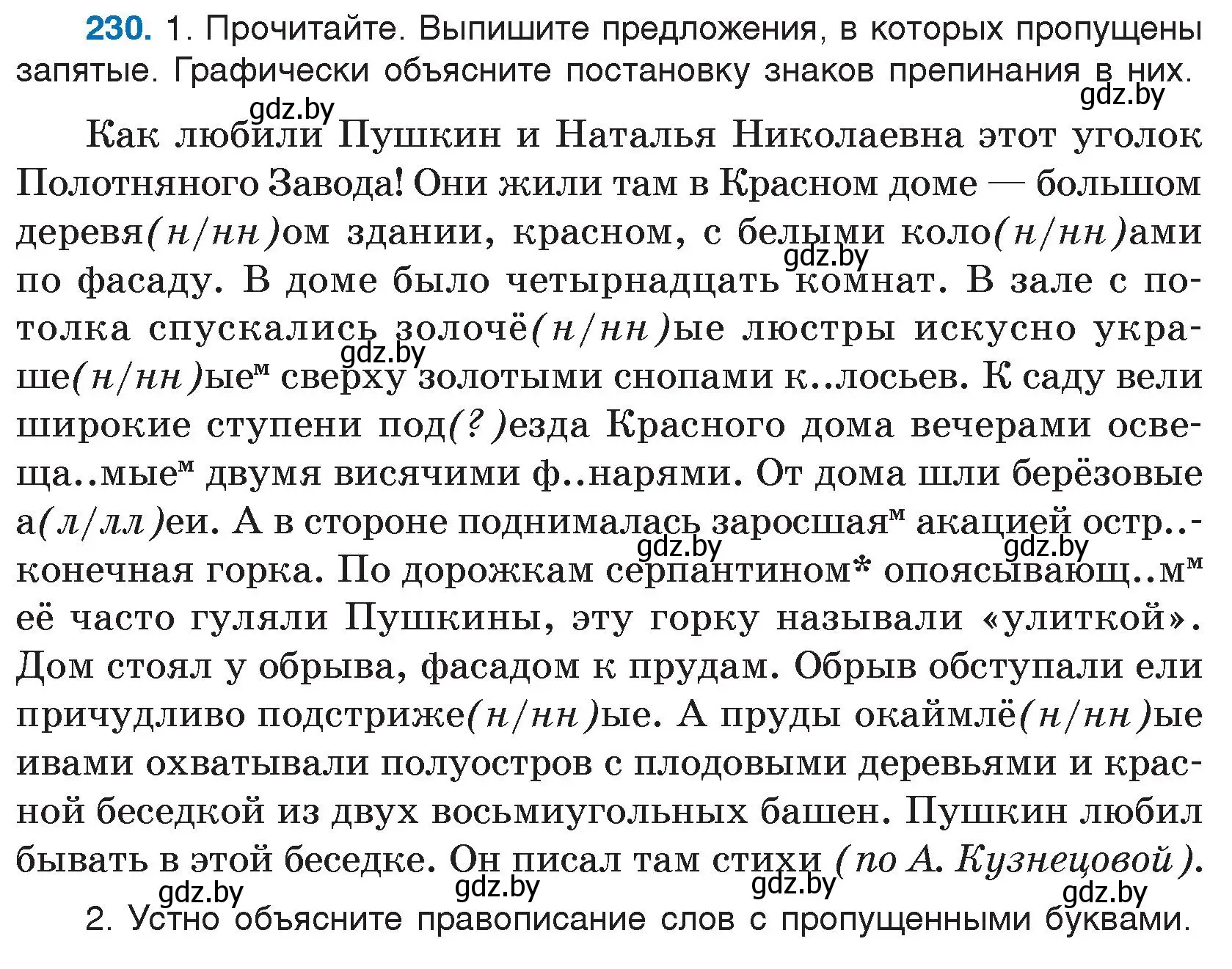 Условие номер 230 (страница 113) гдз по русскому языку 7 класс Волынец, Литвинко, учебник