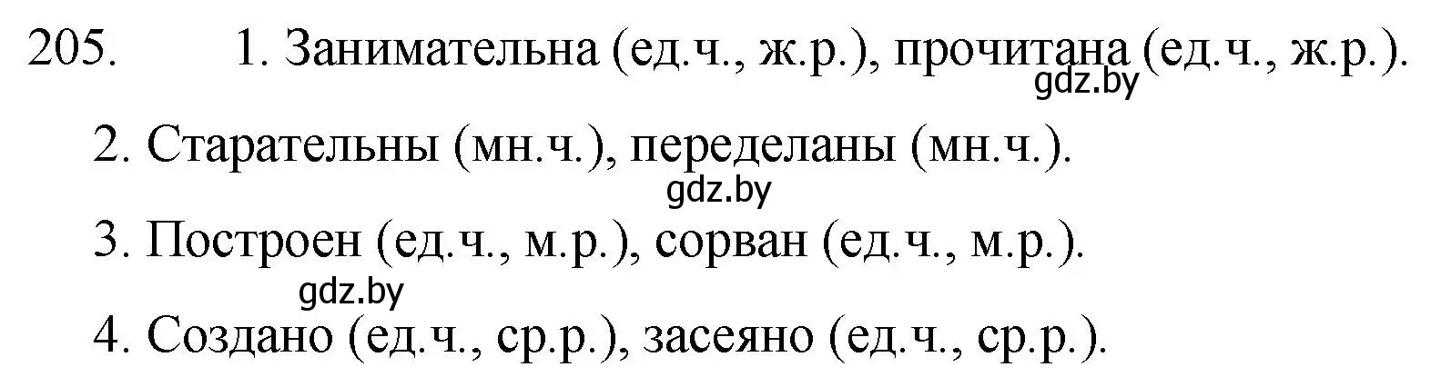 Решение номер 205 (страница 101) гдз по русскому языку 7 класс Волынец, Литвинко, учебник