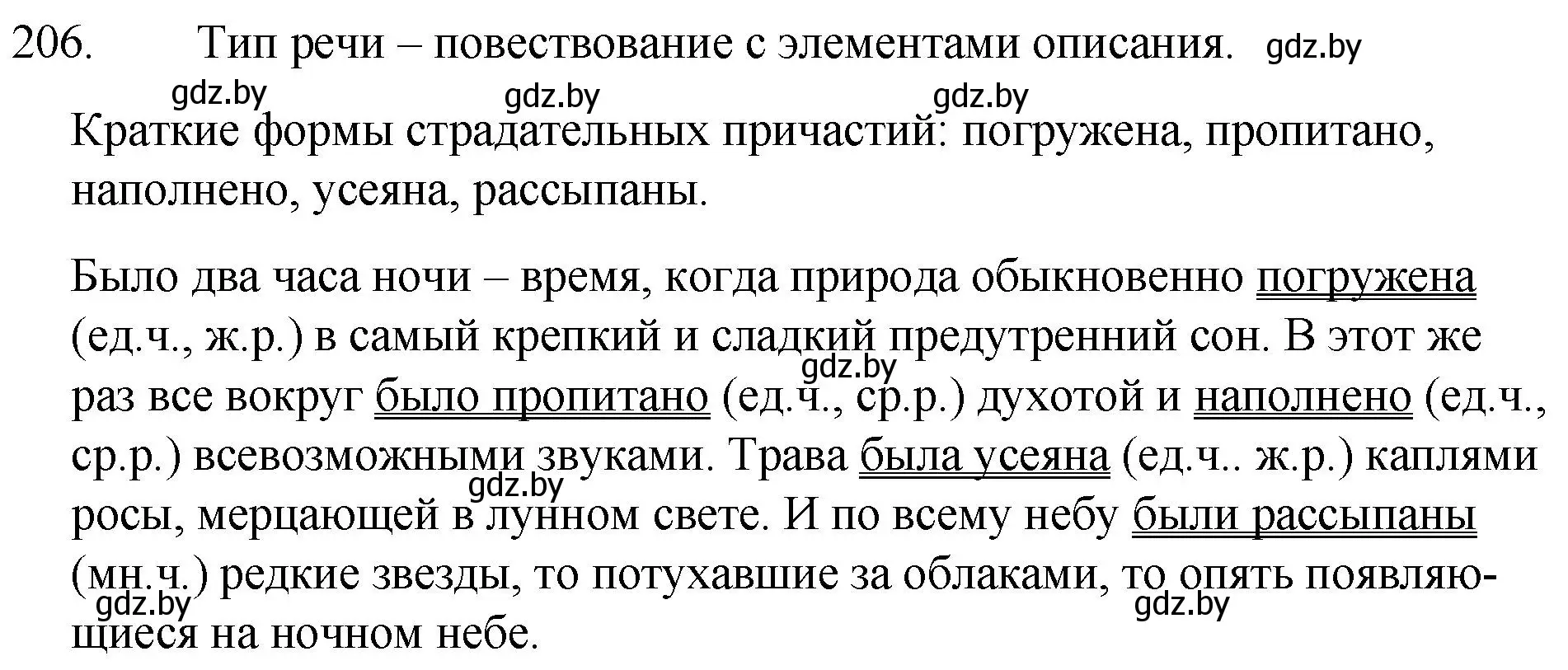 Решение номер 206 (страница 101) гдз по русскому языку 7 класс Волынец, Литвинко, учебник