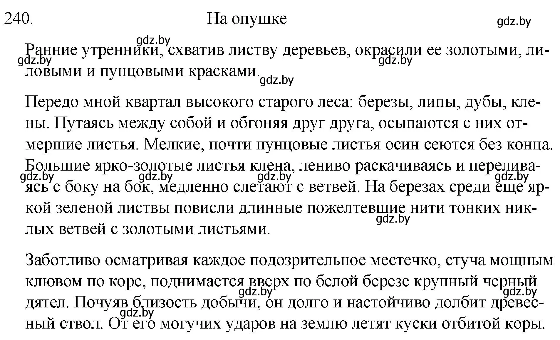 Решение номер 240 (страница 119) гдз по русскому языку 7 класс Волынец, Литвинко, учебник