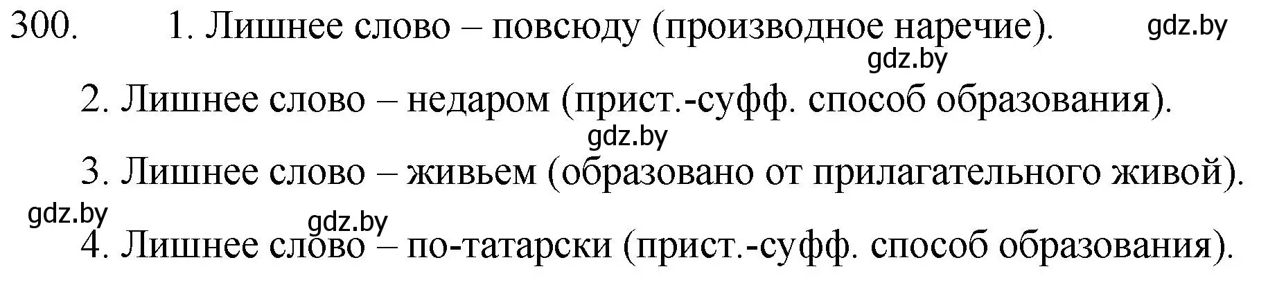 Решение номер 300 (страница 147) гдз по русскому языку 7 класс Волынец, Литвинко, учебник