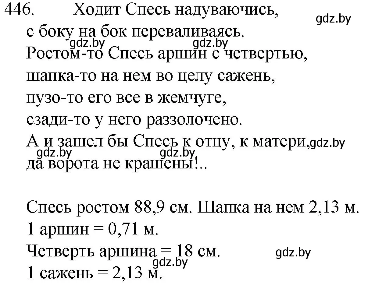 Решение номер 446 (страница 216) гдз по русскому языку 7 класс Волынец, Литвинко, учебник