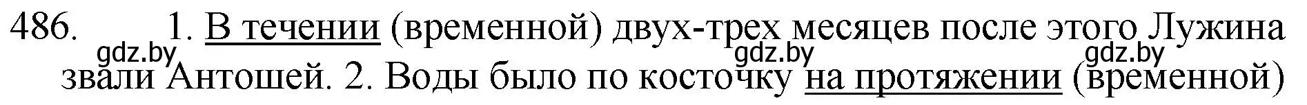 Решение номер 486 (страница 234) гдз по русскому языку 7 класс Волынец, Литвинко, учебник