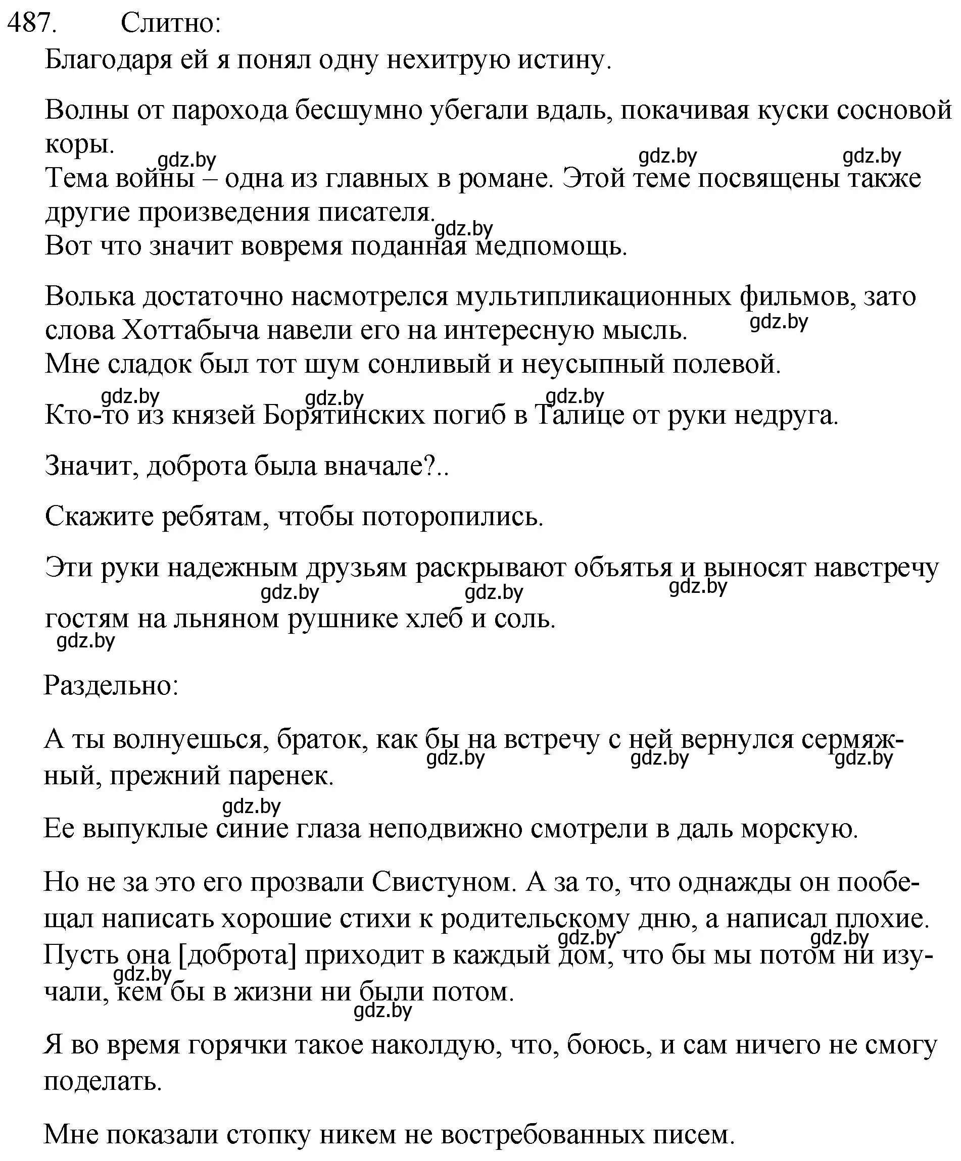 Решение номер 487 (страница 234) гдз по русскому языку 7 класс Волынец, Литвинко, учебник