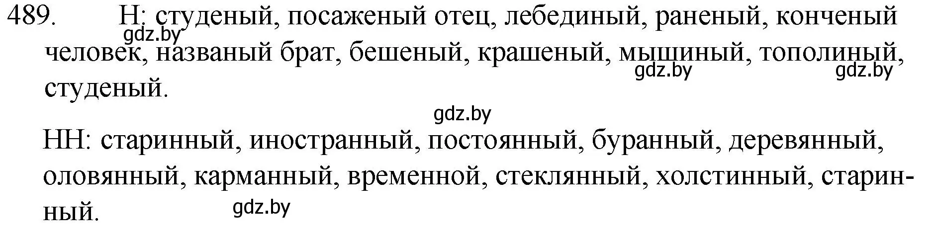 Решение номер 489 (страница 234) гдз по русскому языку 7 класс Волынец, Литвинко, учебник