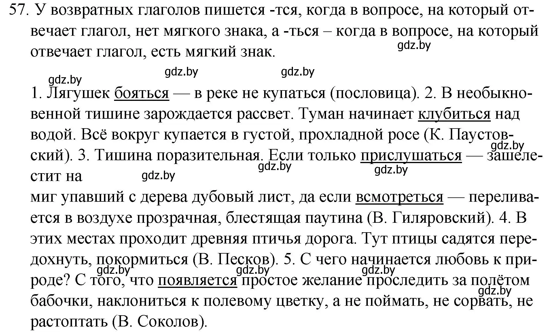 Решение номер 57 (страница 36) гдз по русскому языку 7 класс Волынец, Литвинко, учебник