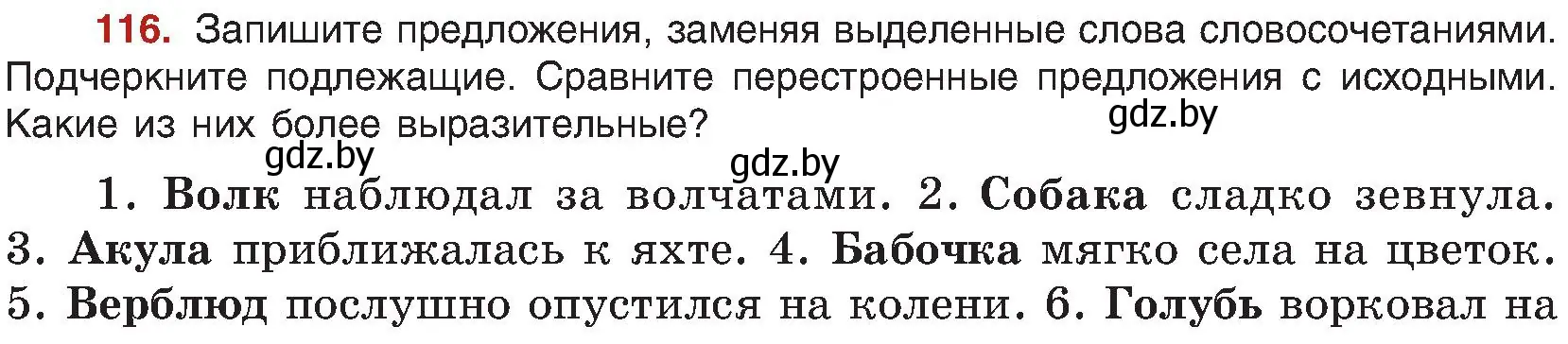 Условие номер 116 (страница 71) гдз по русскому языку 8 класс Мурина, Долбик, учебник