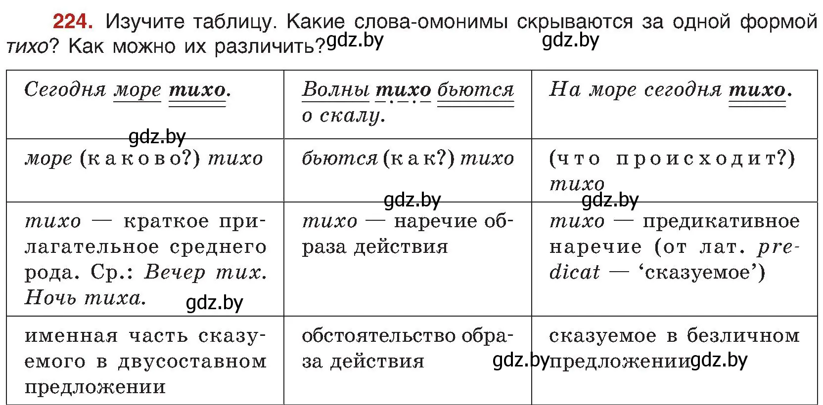 Условие номер 224 (страница 120) гдз по русскому языку 8 класс Мурина, Долбик, учебник