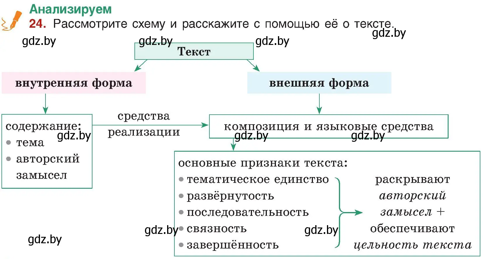 Условие номер 24 (страница 19) гдз по русскому языку 8 класс Мурина, Долбик, учебник