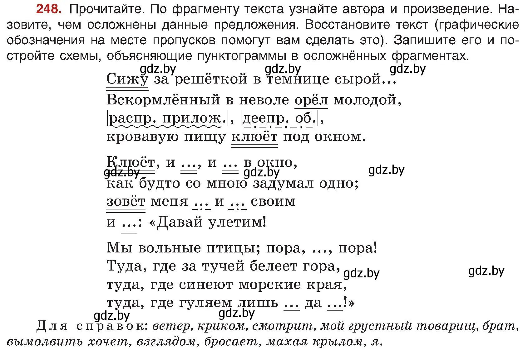 Условие номер 248 (страница 133) гдз по русскому языку 8 класс Мурина, Долбик, учебник