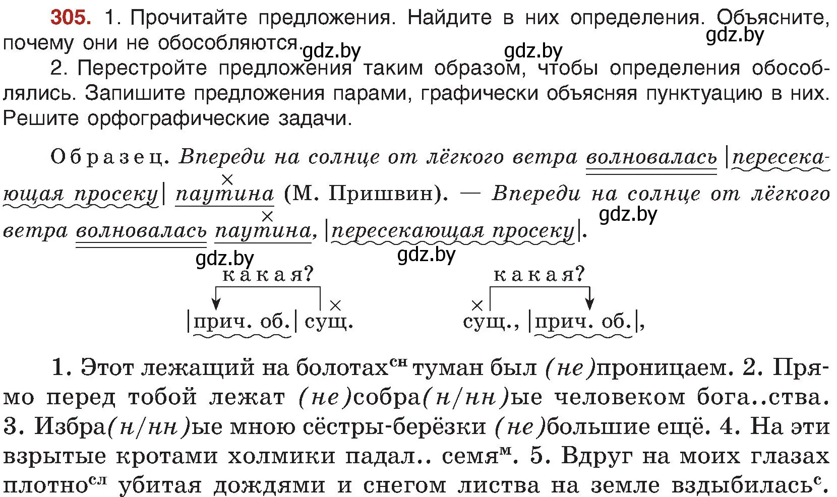 Условие номер 305 (страница 167) гдз по русскому языку 8 класс Мурина, Долбик, учебник