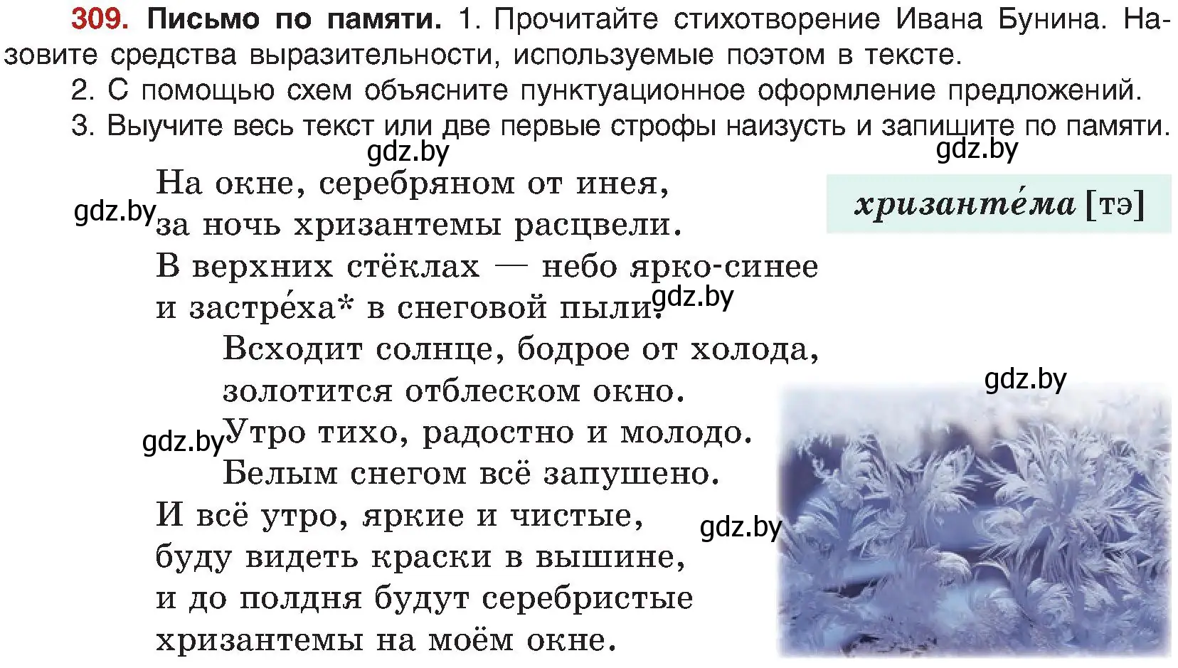 Условие номер 309 (страница 169) гдз по русскому языку 8 класс Мурина, Долбик, учебник