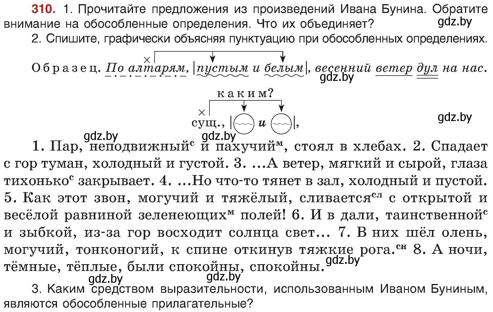 Условие номер 310 (страница 170) гдз по русскому языку 8 класс Мурина, Долбик, учебник