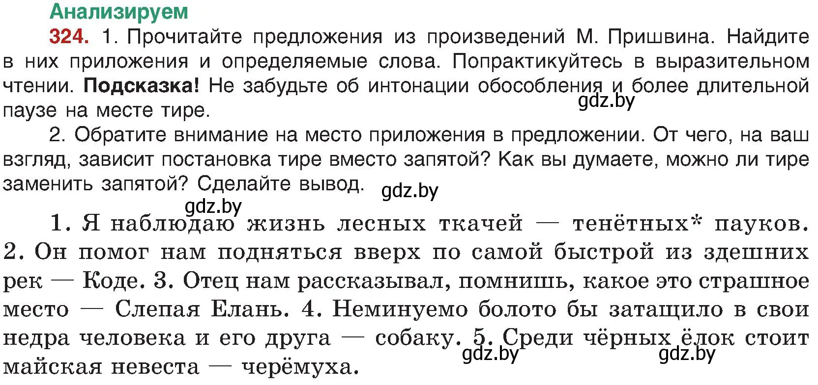 Условие номер 324 (страница 177) гдз по русскому языку 8 класс Мурина, Долбик, учебник