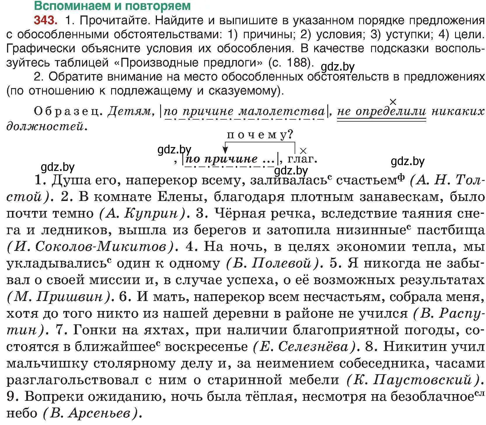 Условие номер 343 (страница 187) гдз по русскому языку 8 класс Мурина, Долбик, учебник