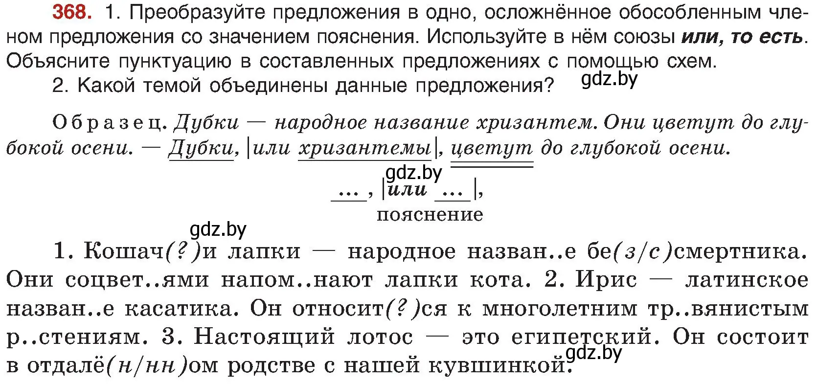 Условие номер 368 (страница 202) гдз по русскому языку 8 класс Мурина, Долбик, учебник