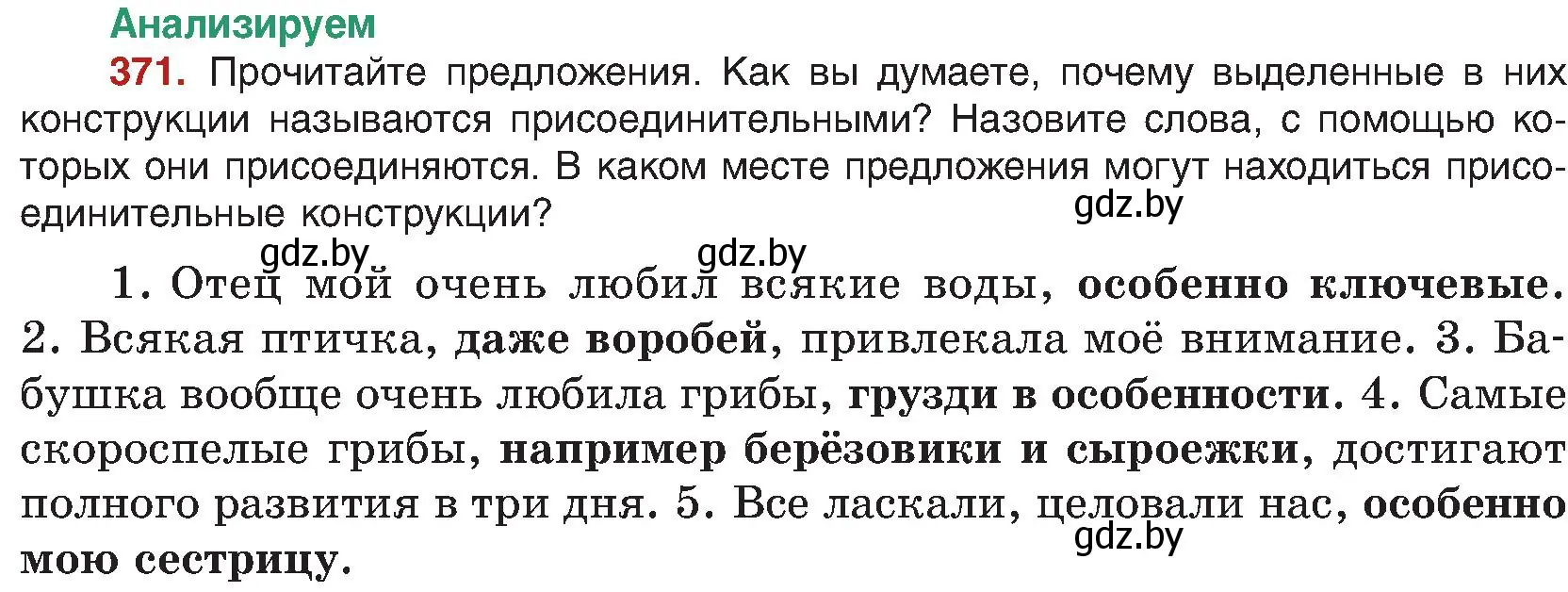 Условие номер 371 (страница 203) гдз по русскому языку 8 класс Мурина, Долбик, учебник