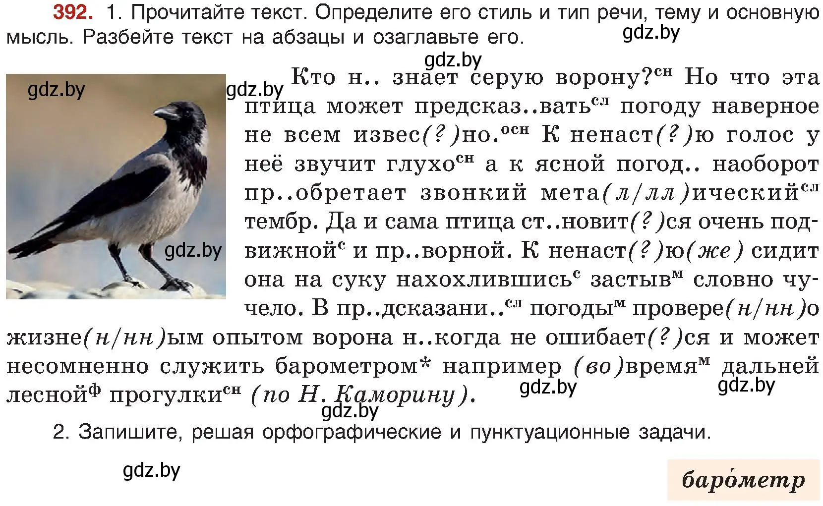 Условие номер 392 (страница 216) гдз по русскому языку 8 класс Мурина, Долбик, учебник