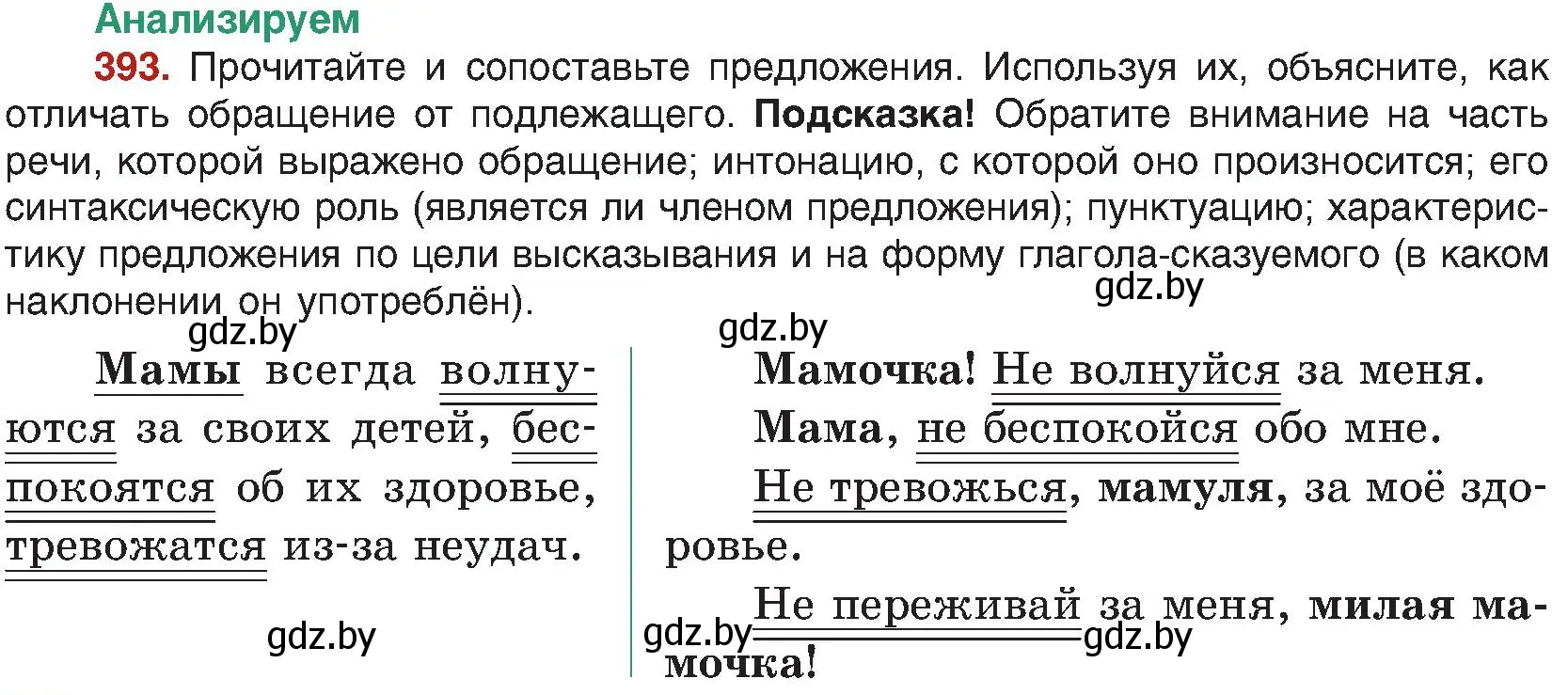 Условие номер 393 (страница 217) гдз по русскому языку 8 класс Мурина, Долбик, учебник