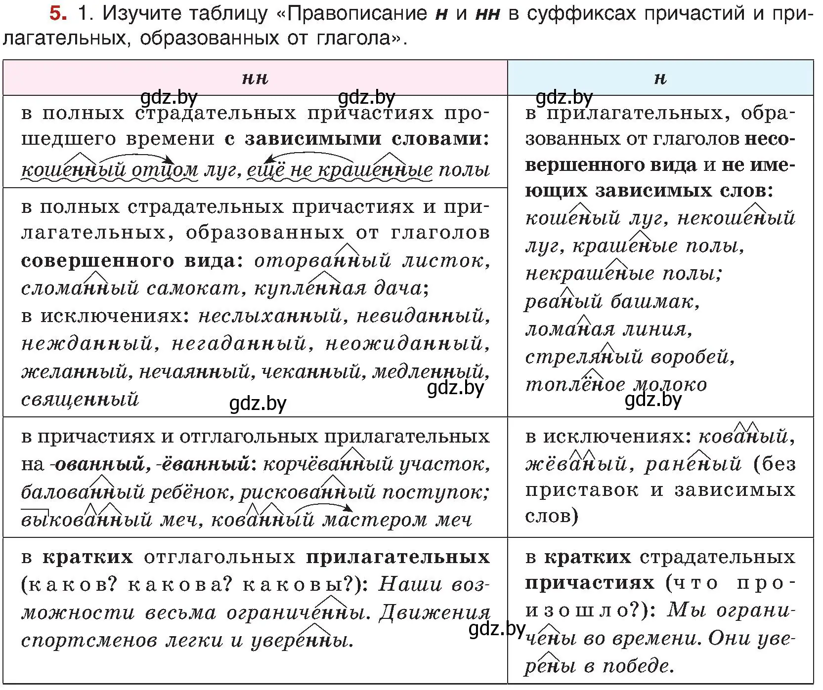 Условие номер 5 (страница 9) гдз по русскому языку 8 класс Мурина, Долбик, учебник