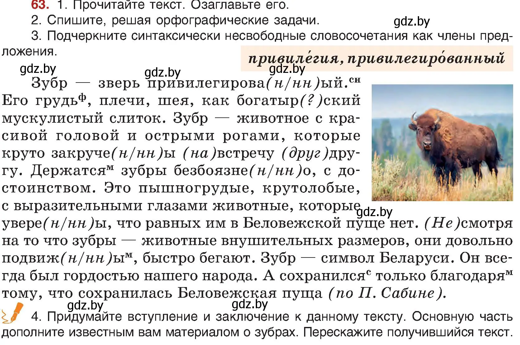 Условие номер 63 (страница 45) гдз по русскому языку 8 класс Мурина, Долбик, учебник