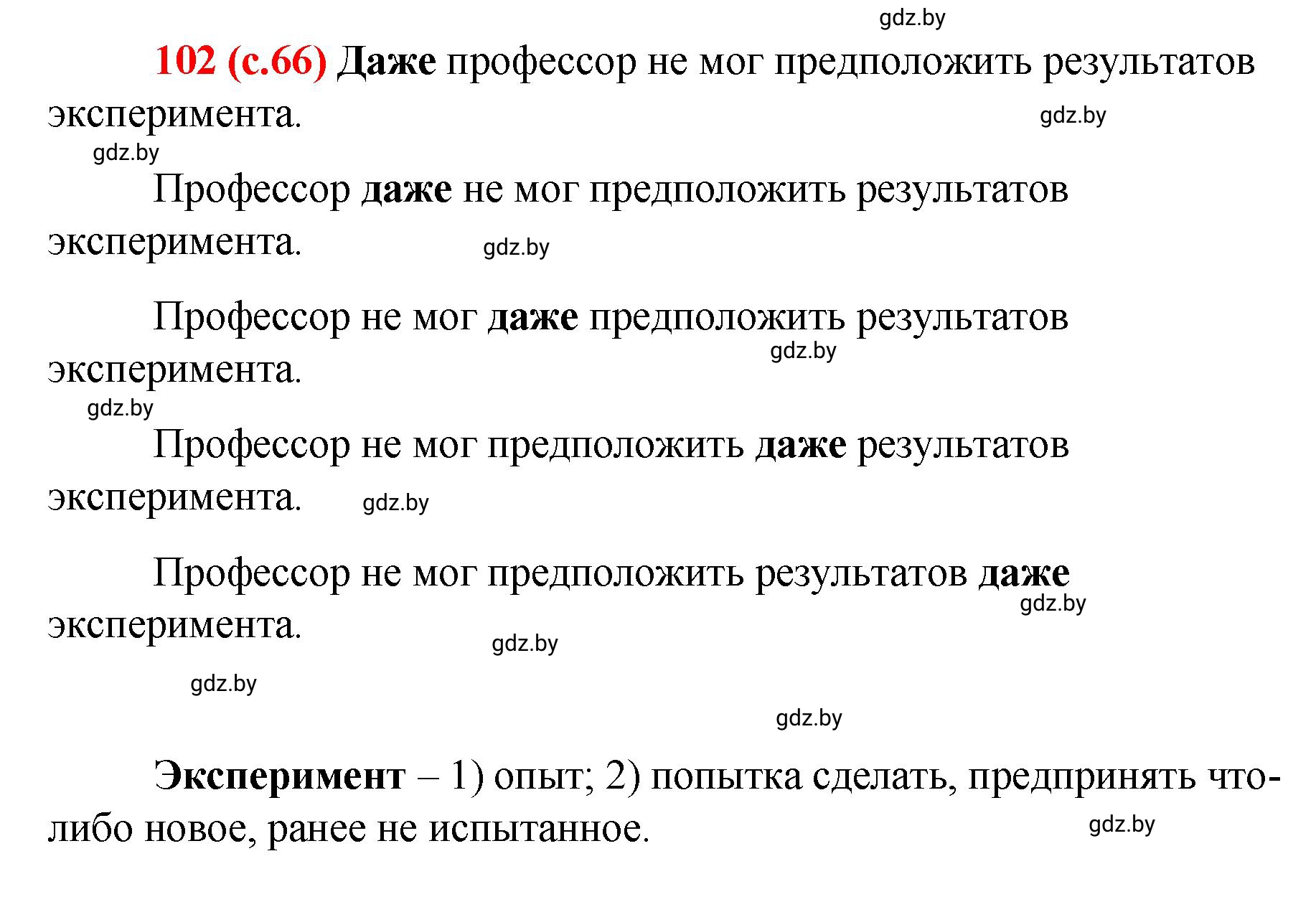 Решение номер 102 (страница 66) гдз по русскому языку 8 класс Мурина, Долбик, учебник