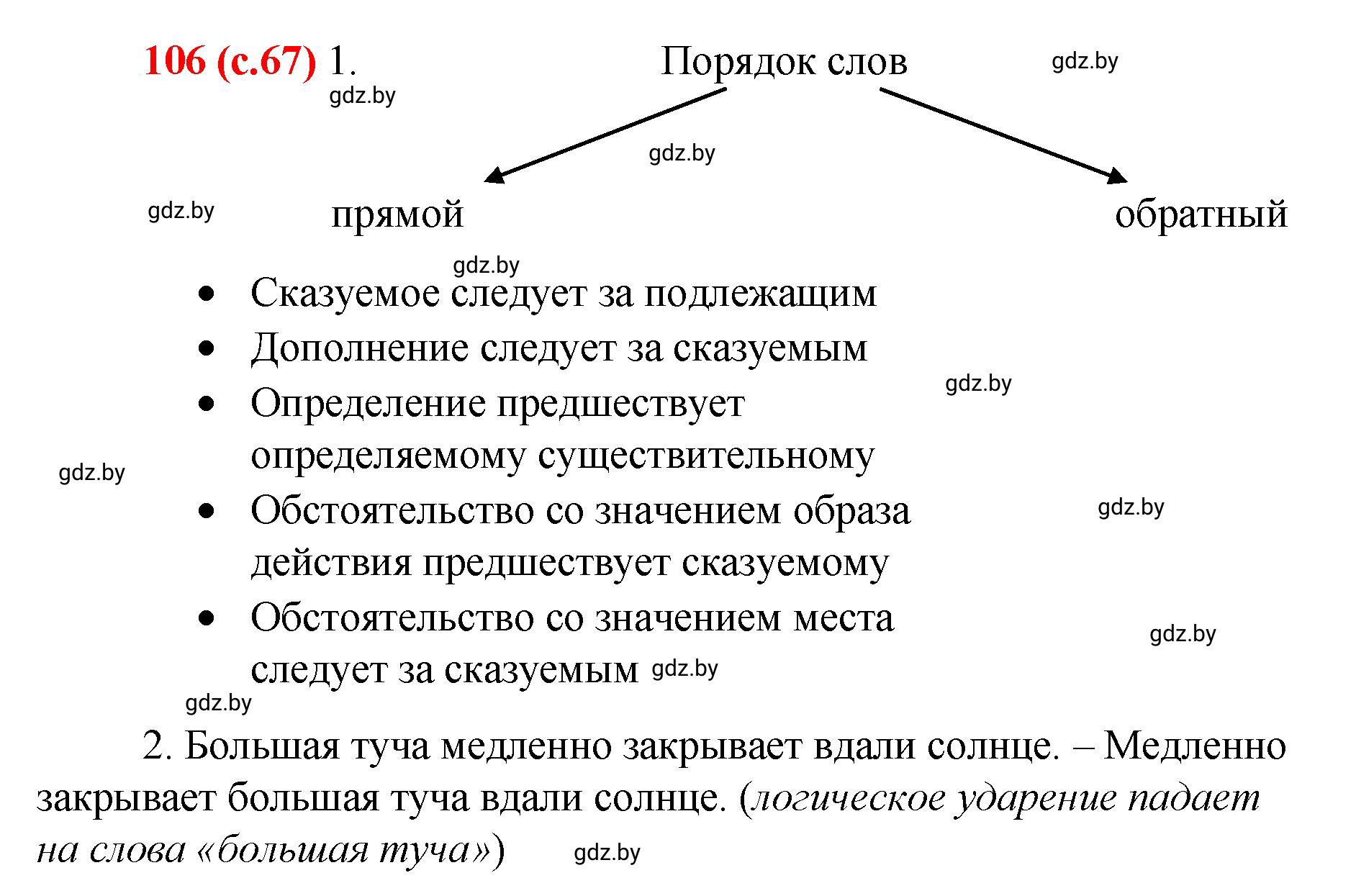 Решение номер 106 (страница 67) гдз по русскому языку 8 класс Мурина, Долбик, учебник