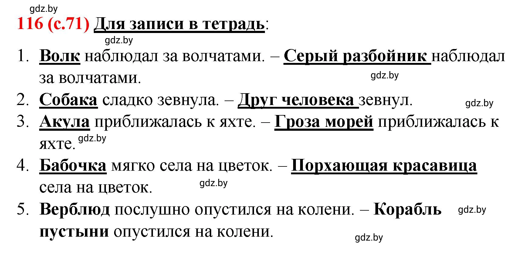 Решение номер 116 (страница 71) гдз по русскому языку 8 класс Мурина, Долбик, учебник