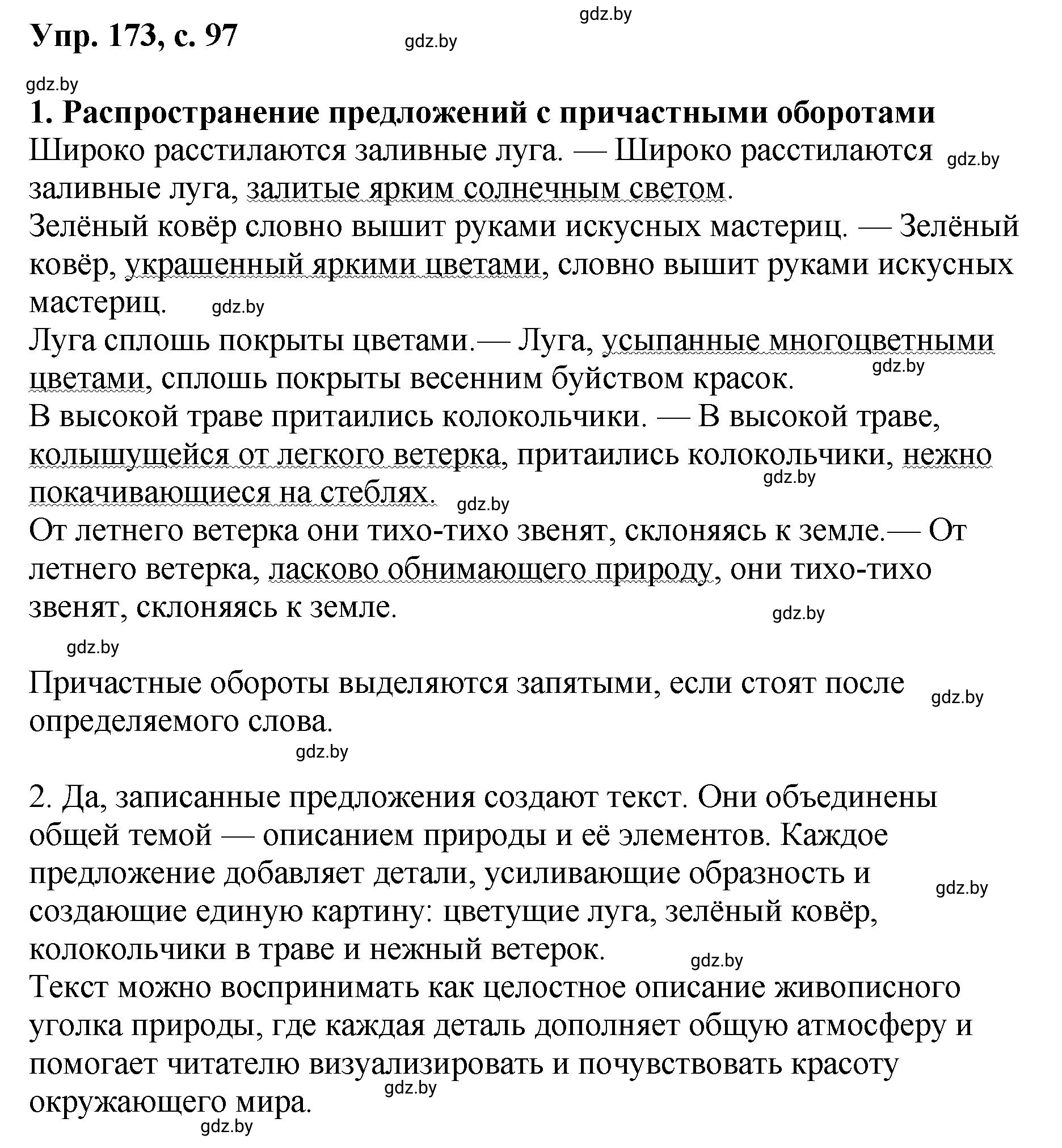 Решение номер 173 (страница 97) гдз по русскому языку 8 класс Мурина, Долбик, учебник