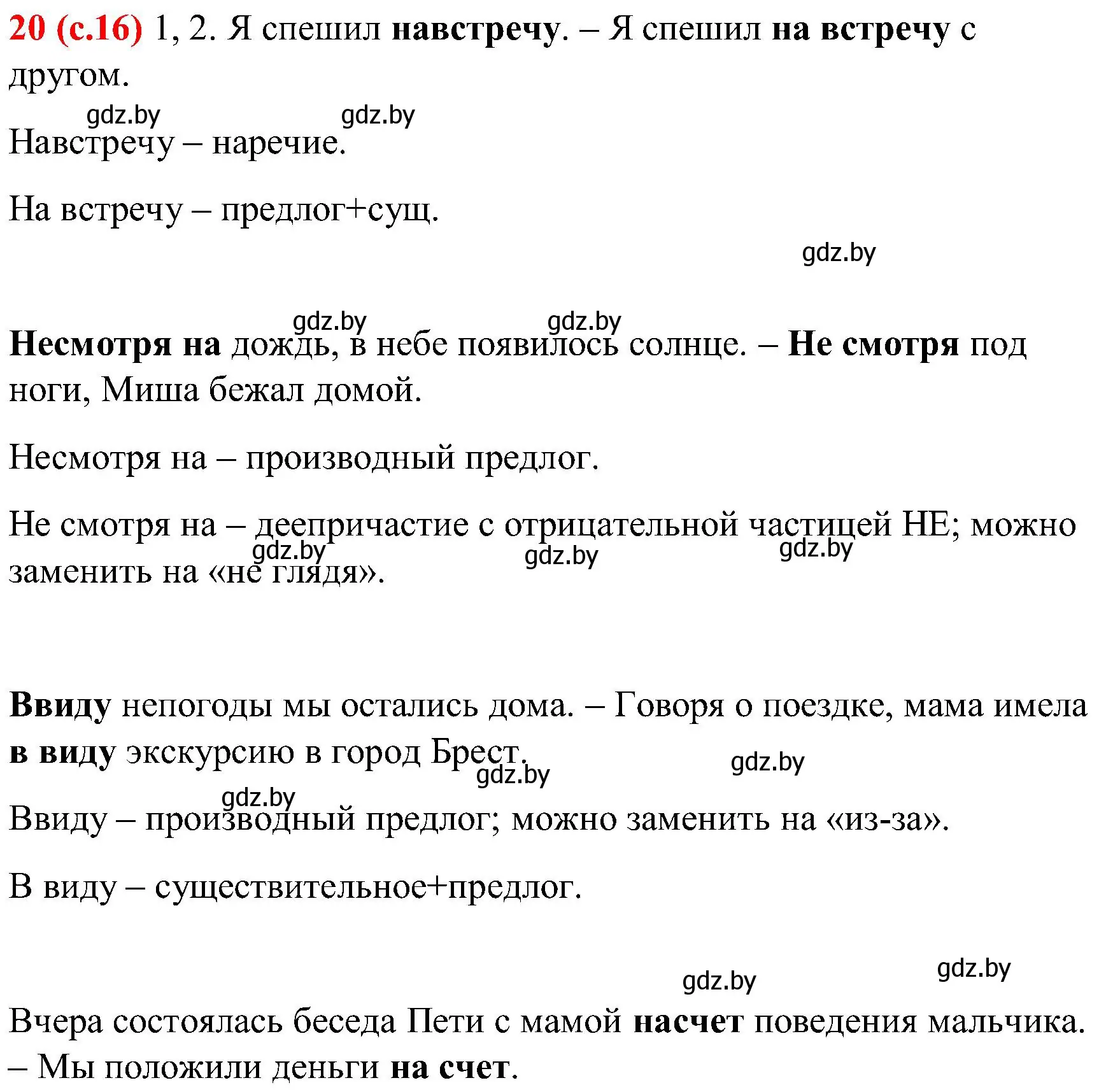 Решение номер 20 (страница 16) гдз по русскому языку 8 класс Мурина, Долбик, учебник